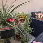 Apartment Teodorico