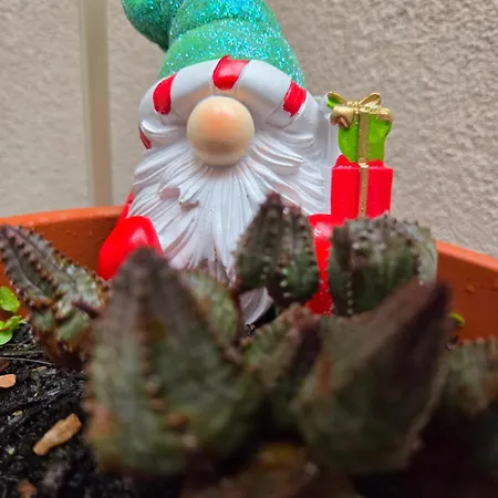 Teodorico Lägenhet Ravenna