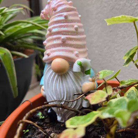 Lägenhet Teodorico Ravenna