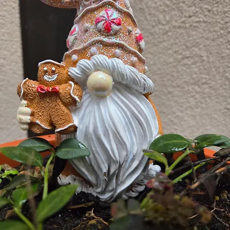 Teodorico Lägenhet Ravenna