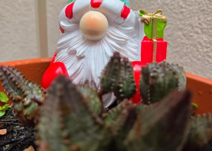 Teodorico Apartment Ravenna